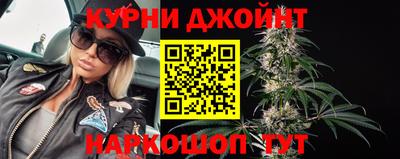 гидропоника Будённовск